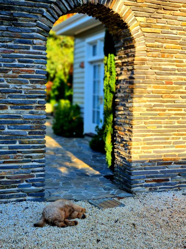 A big day on the farm for Fergus