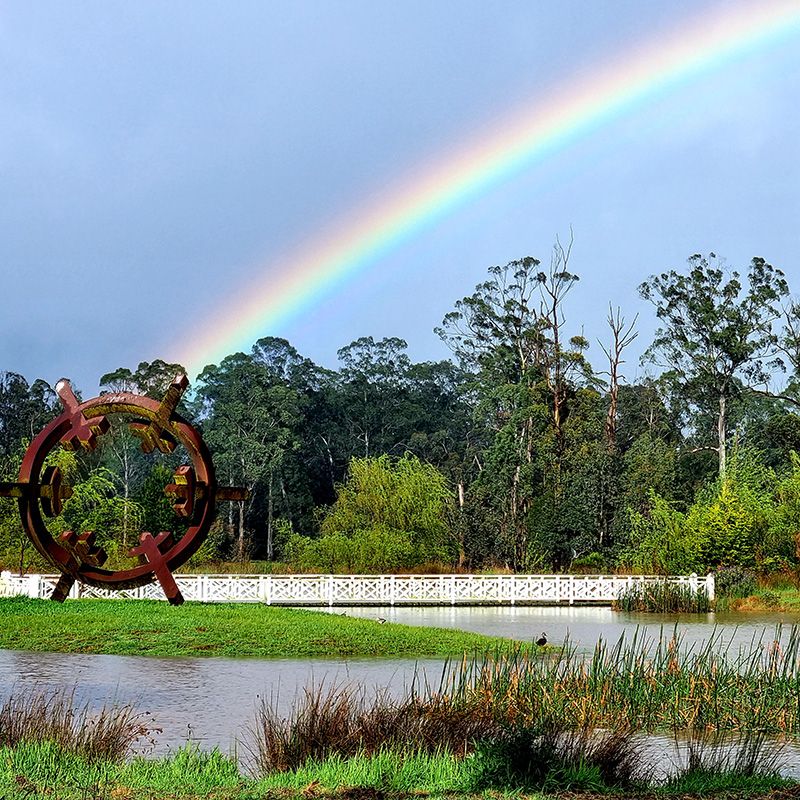 After some solid rain, a sign perhaps