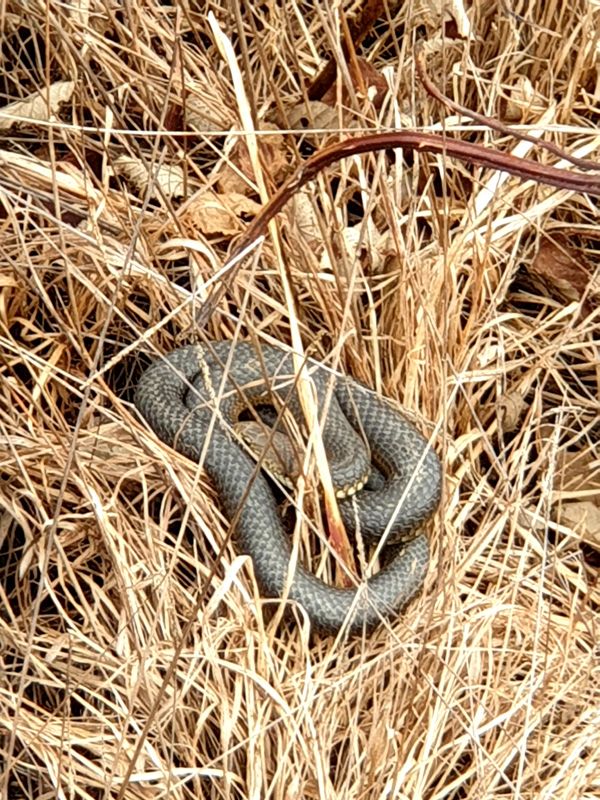 Always be careful where you step