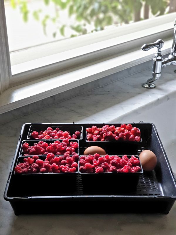 Berries in Season fresh from our Gardens