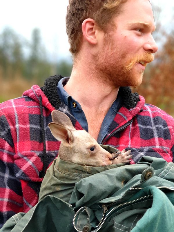 Billy and an orphaned Kangaroo before he gets delivered to the Sanctuary