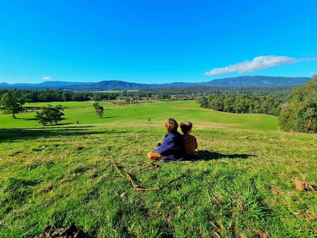 Friends for life, looking out to the NE