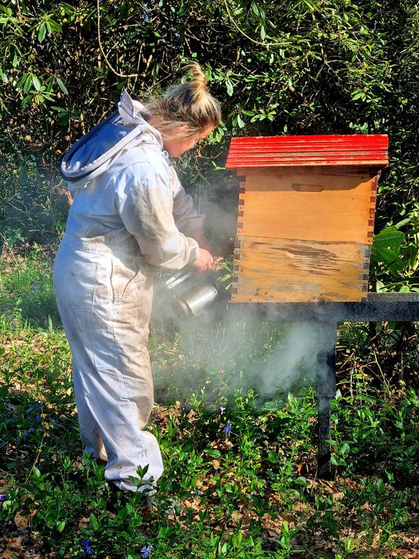 Checking the Hives