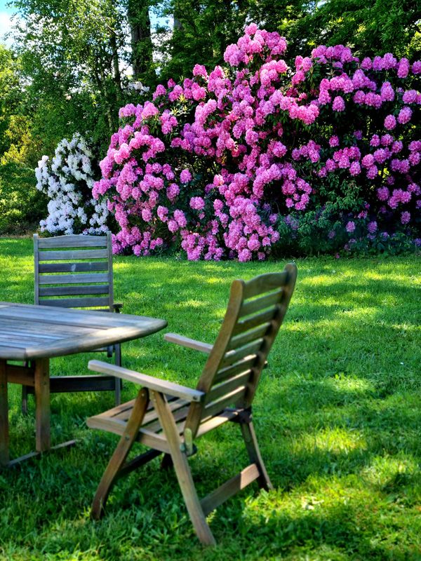 Do you know a better spot for lunch ?