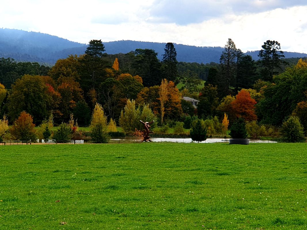 Driveway paddocks looking West