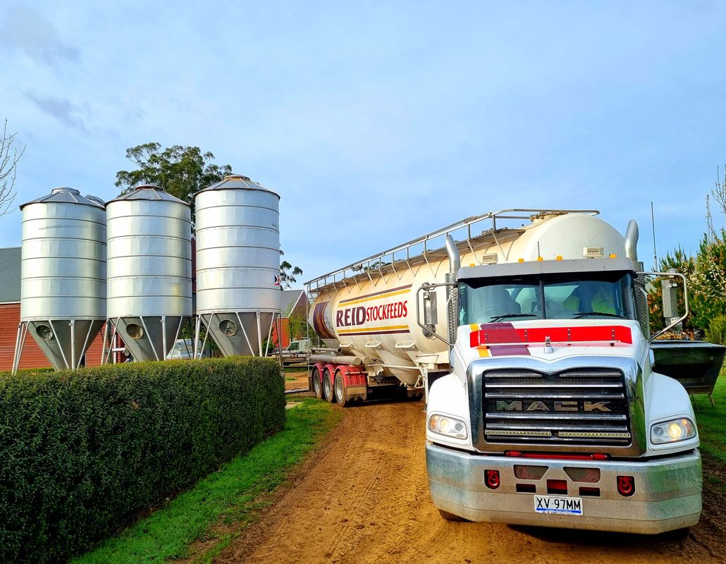 Ever Reliable, REIDs stockfeeds deliver