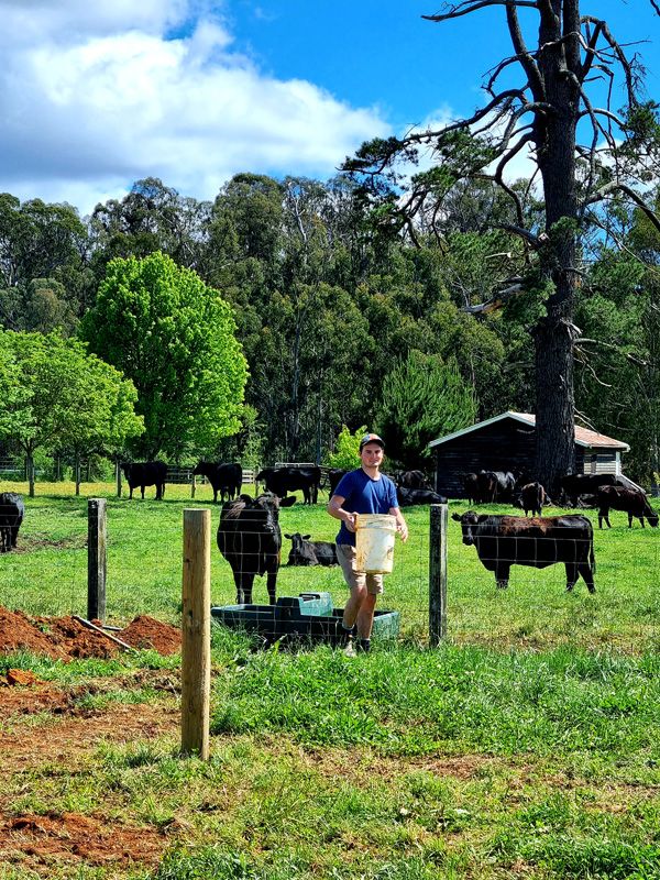 Family Business, Oscar helps out in the Yards