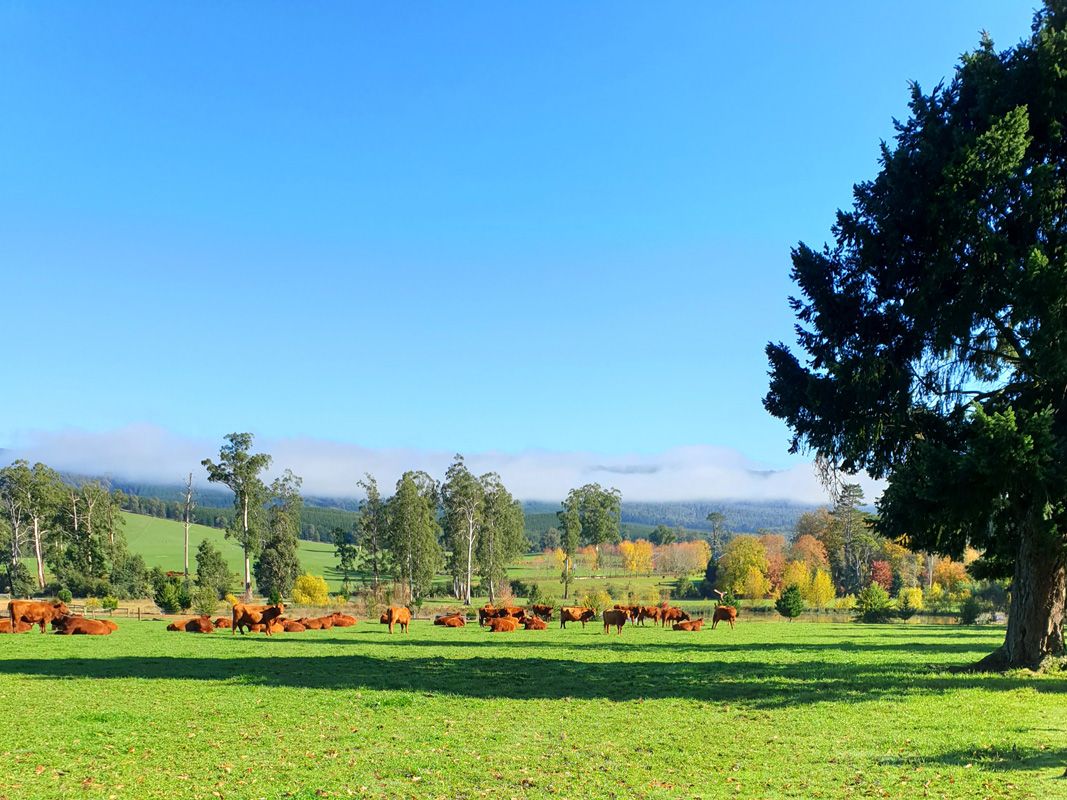 Farming in the sunshine, May 2020