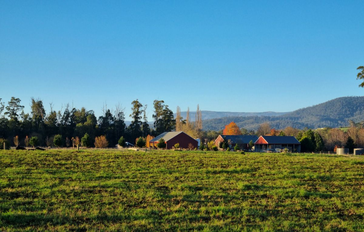 Farmlife at St.Fillan Farm