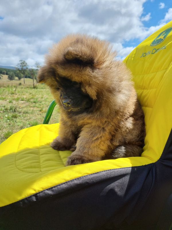 Fergus learning on the job