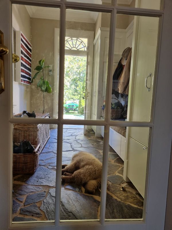 Fergus takes a break