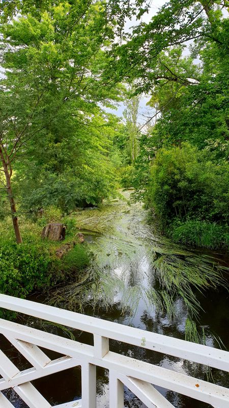 Fisher Creek meanders through the Farm