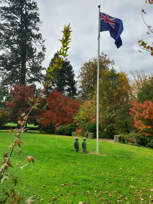 Flurry of Flag shows a gentle Northerly