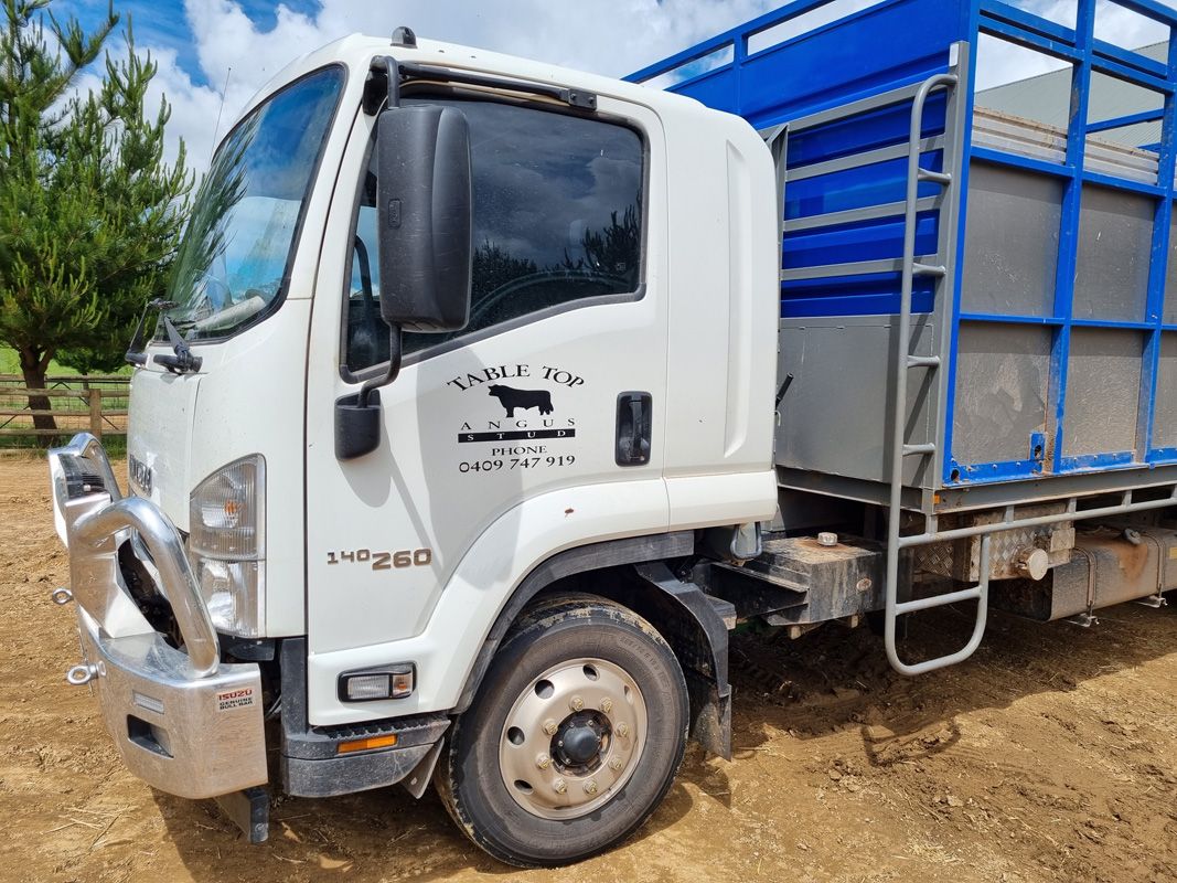 Full Service Stud, Table Top Angus really delivers