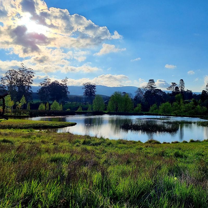Glorious afternoons at the Brian Lake