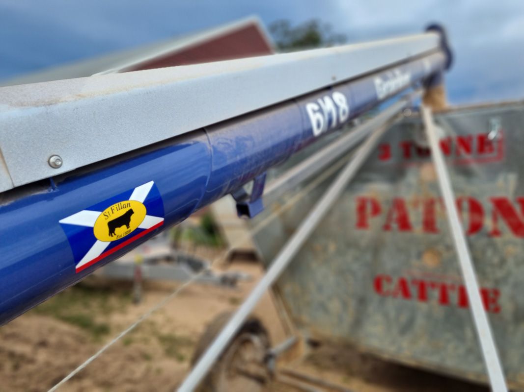 Grainline Auger makes loading easy