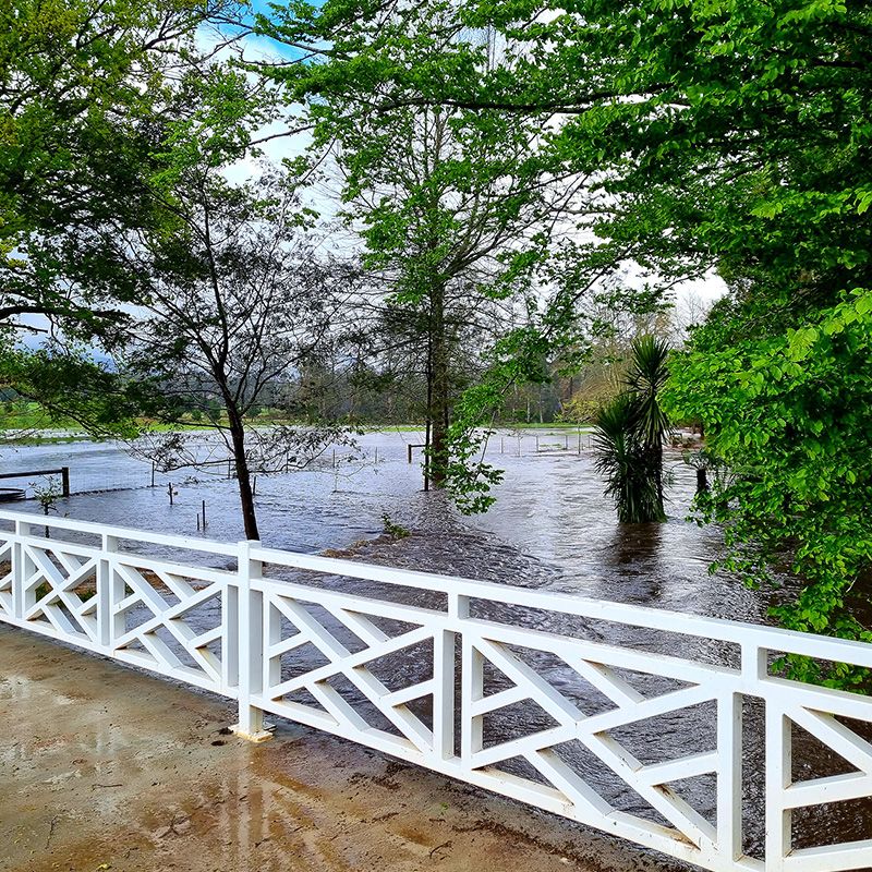 Heavy rains break the banks of Fisher Creek