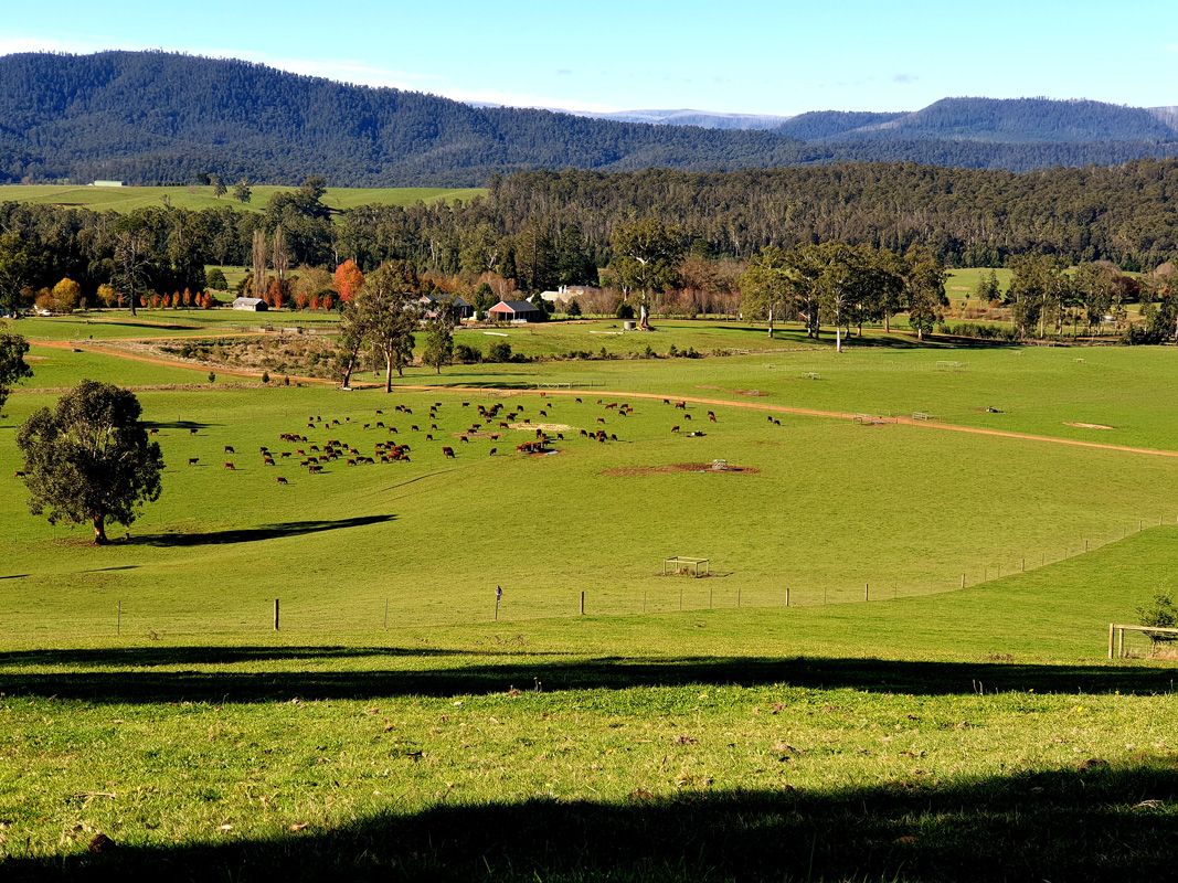 Hilltop vantage point looks out across the farm