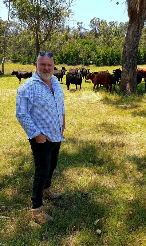 Lynton Harrison does the stock rounds