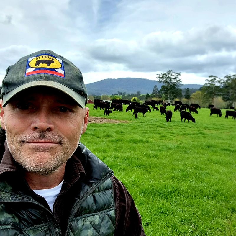 MJK doing the rounds