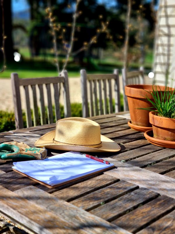 Our outdoor office whilst the sun is shining