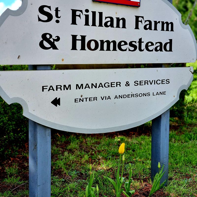 Main entrance to the farm
