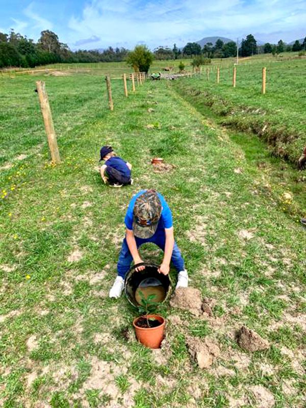 Never too young to learn - Planting trees along drainage ditches are all part of our Regernative Ag approach