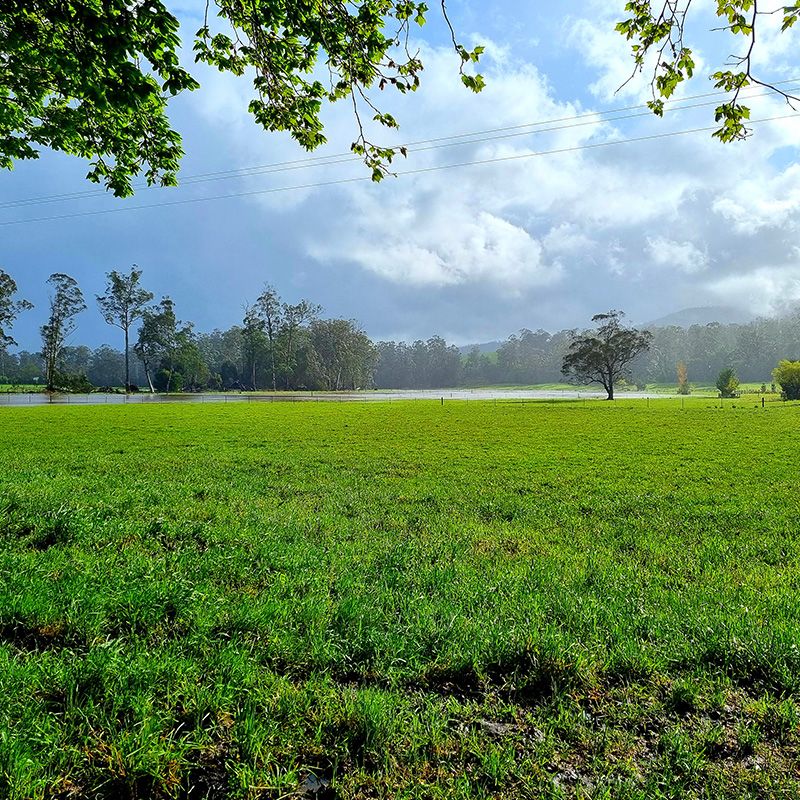 Our river flats handle floodwaters well