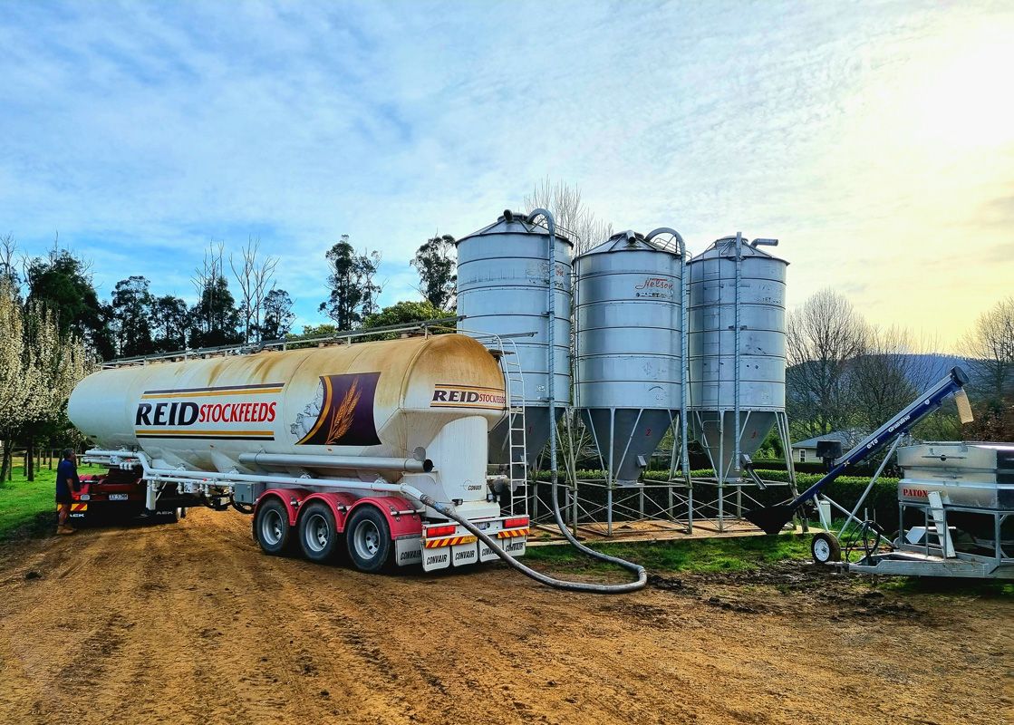 REID deliver 25 MT into our Silos