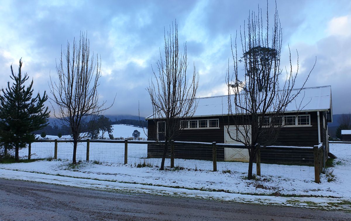 Snow blankets the Stables