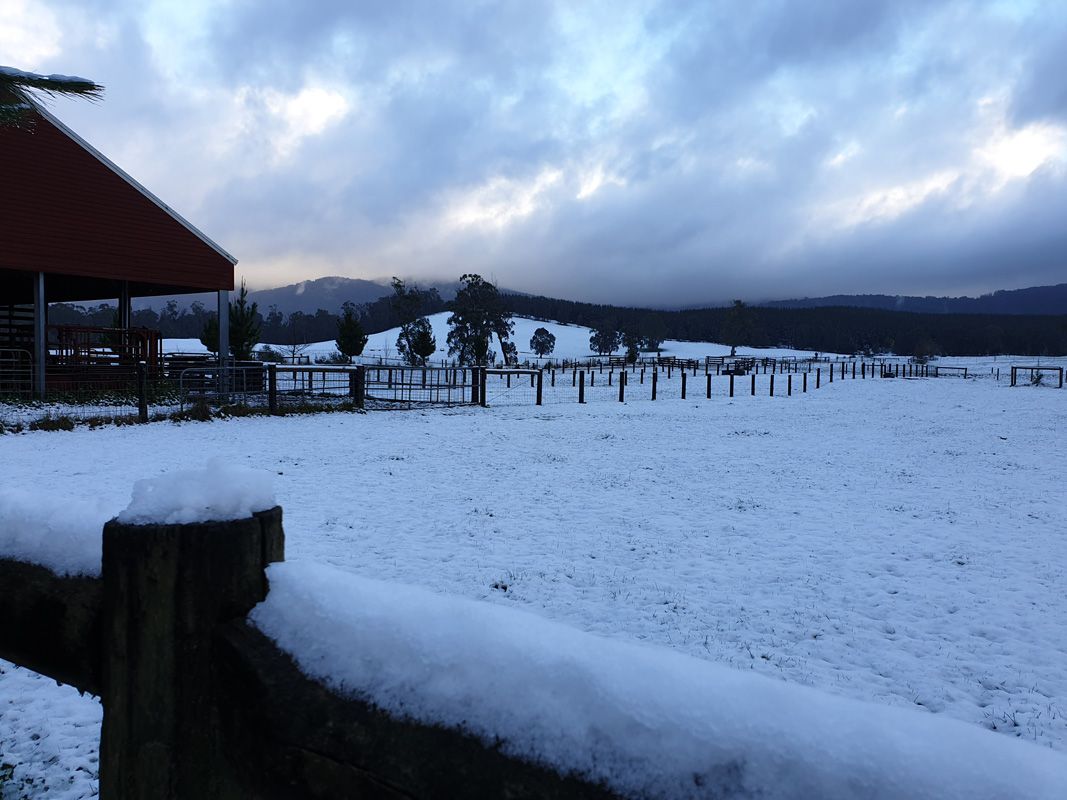 Snow blankets the farm
