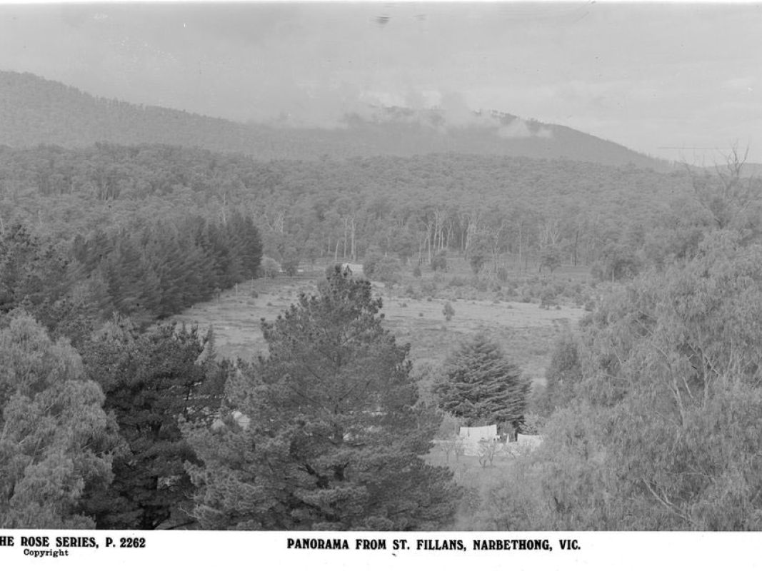 Panorama From St.Fillans, Narbethong, Vic.
