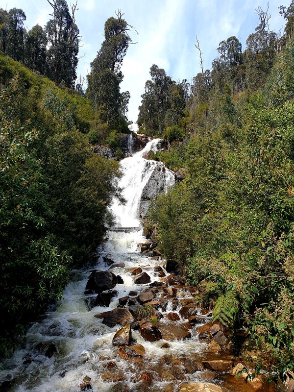 Steavenson Falls a short drive and hike from St.Fillan