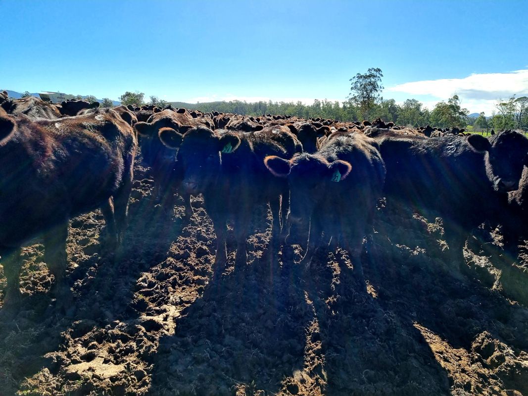 Sun in Winter...doesn't feel too warm however