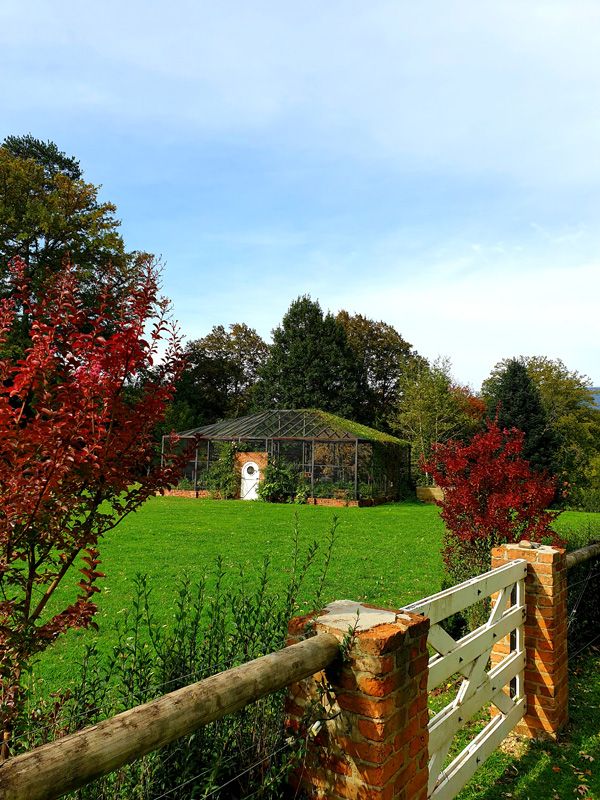 The Birdcage Garden in Autumn