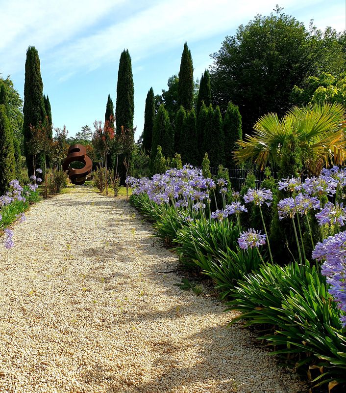 The Pavillion Walkway abloom with Agapanthus, Lavender and towering Italian Pines around a Greg Johns Sculpture in the pond