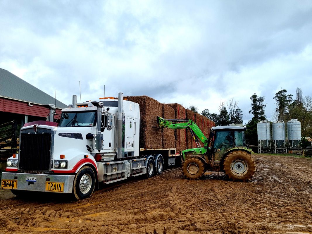 Vetch Hay from the Mallee