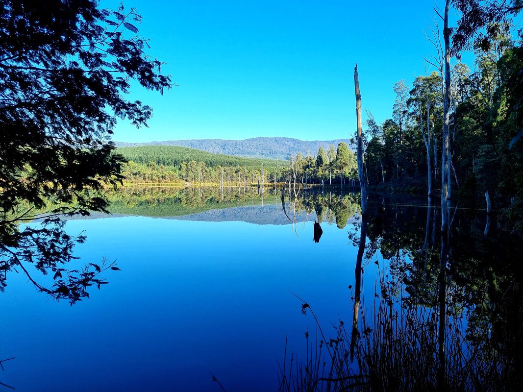 View west over our main dam