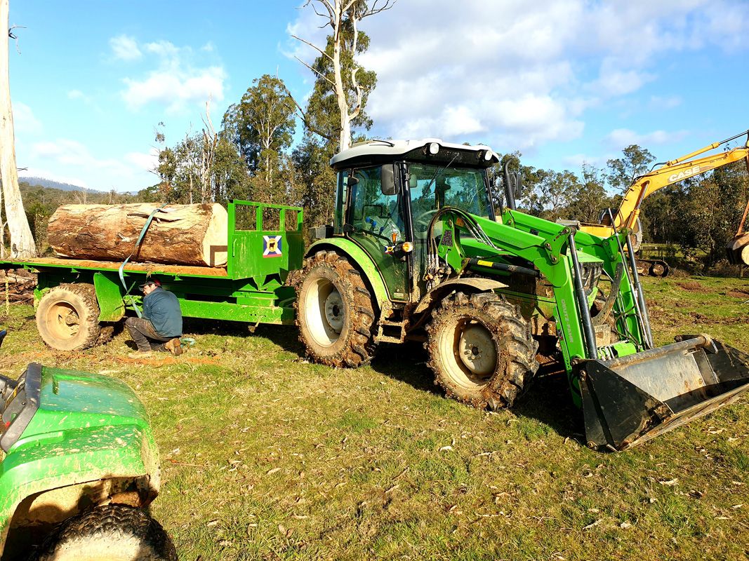 Wild weather brings fallen trees