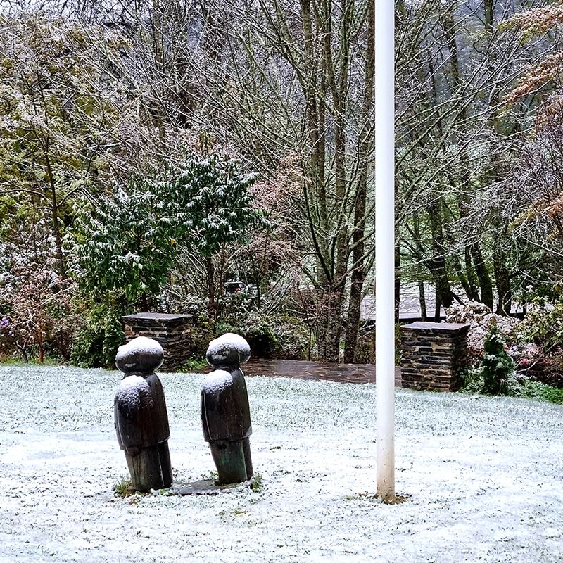 Winter Snowfalls in the Gardens