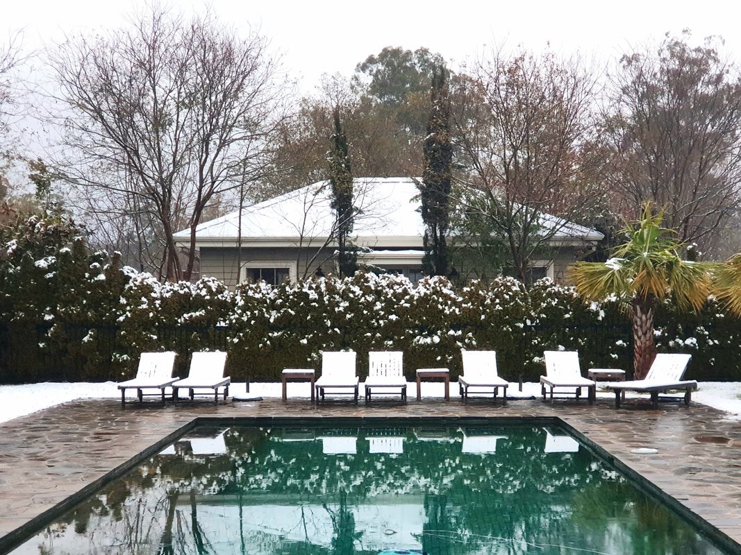 Winter around the Pool