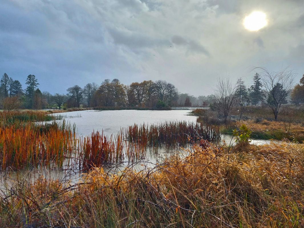 Winter over the Lake