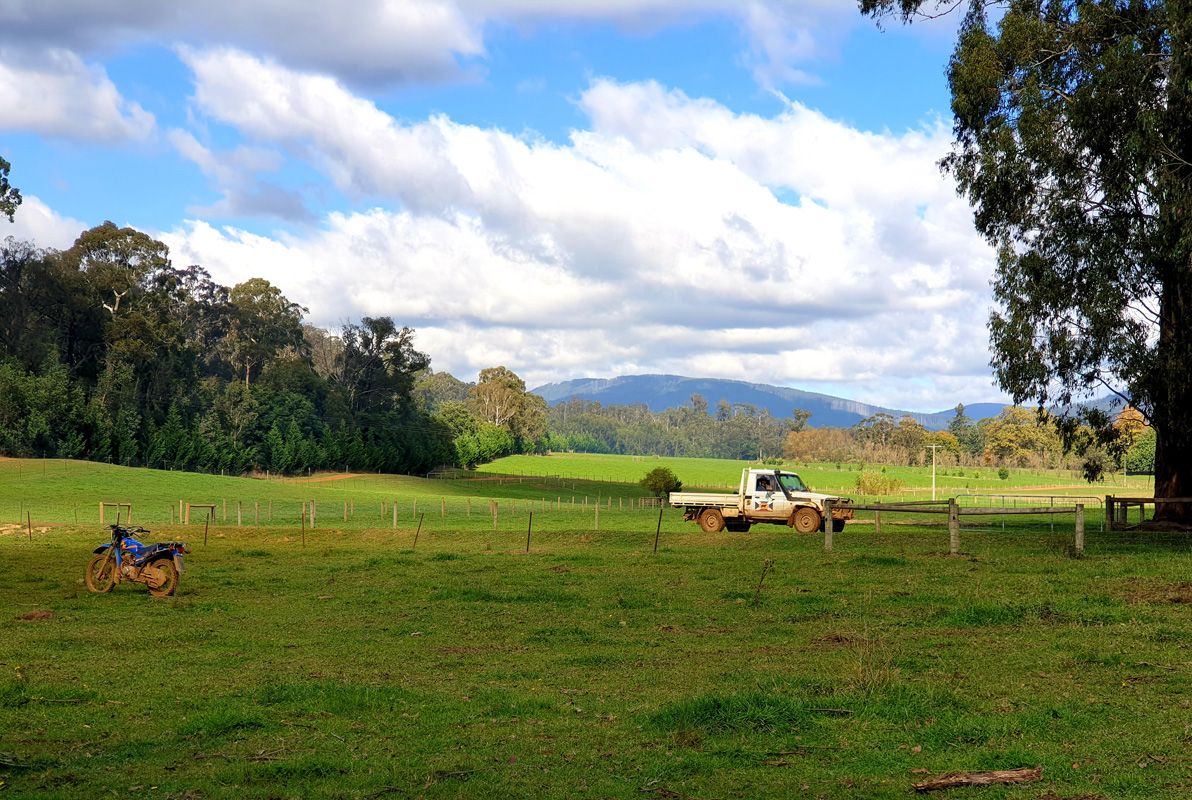 Working in the Deer Block